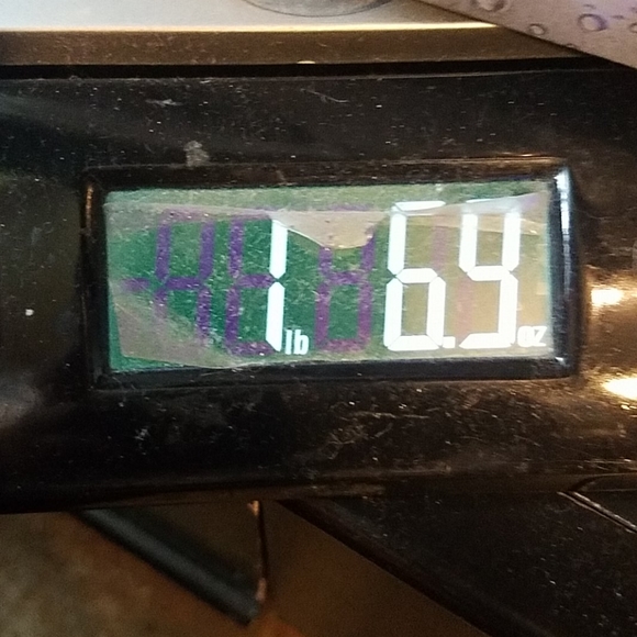 J Star studded camo camouflage capri cropped jeans - Picture 4 of 4